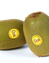 kiwi dorì